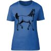 Women's Premium T-shirt Thumbnail