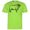 Cool T Sports Shirt Thumbnail