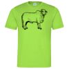 Cool T Sports Shirt Thumbnail