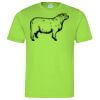 Cool T Sports Shirt Thumbnail