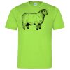 Cool T Sports Shirt Thumbnail
